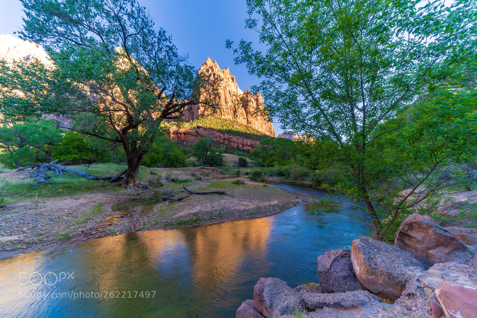 Sony a7 III sample photo. Zion national park photography