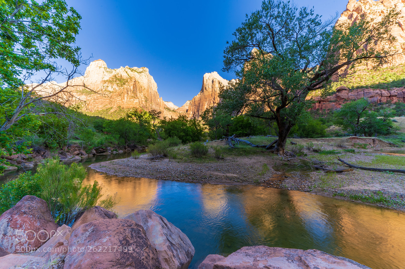 Sony a7 III sample photo. Zion national park photography