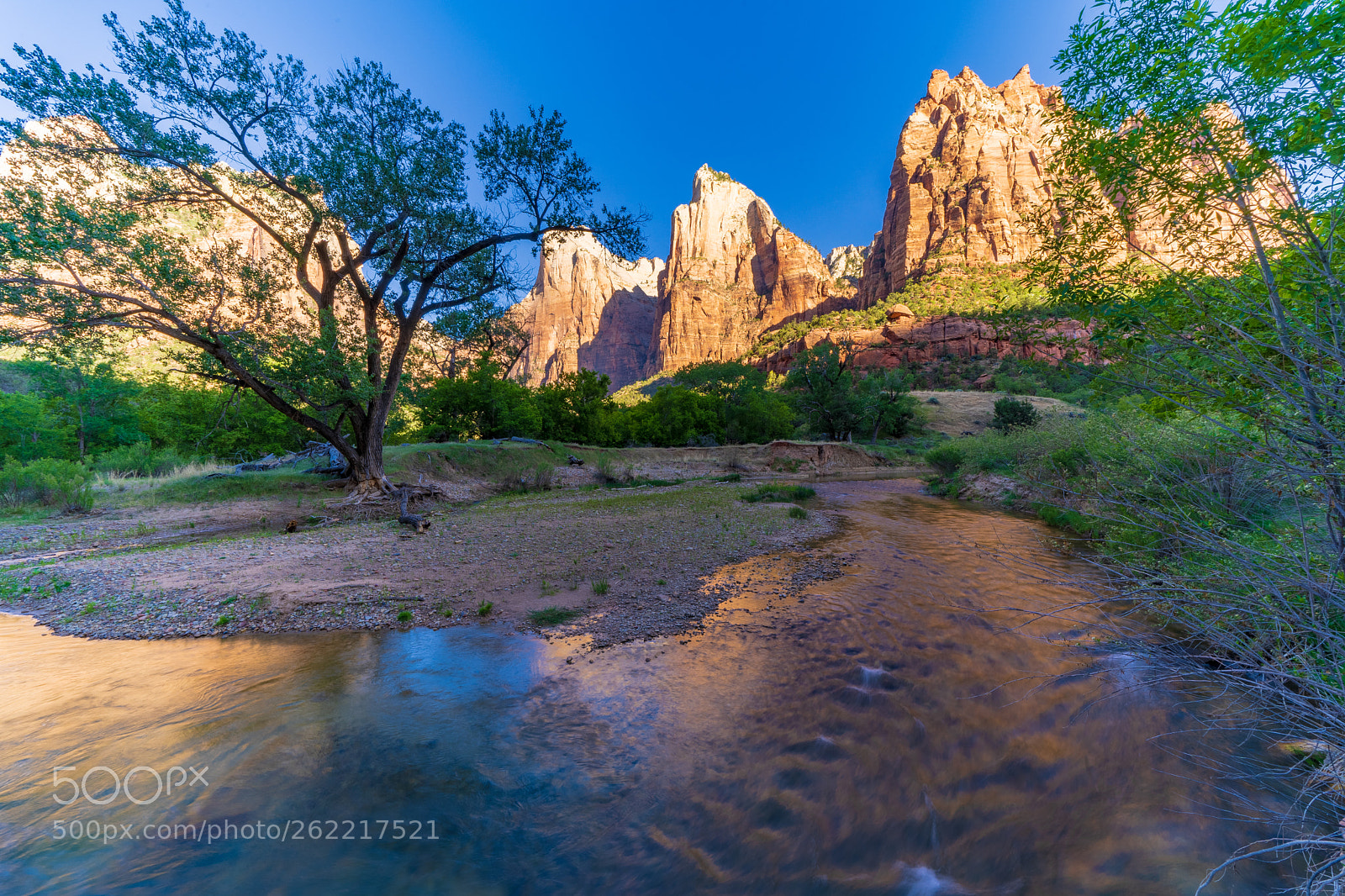Sony a7 III sample photo. Zion national park photography