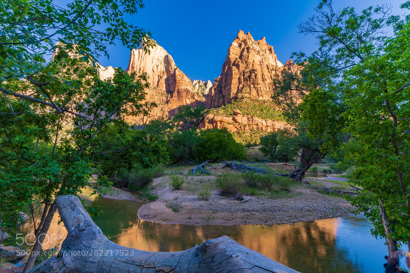 Sony a7 III sample photo. Zion national park photography