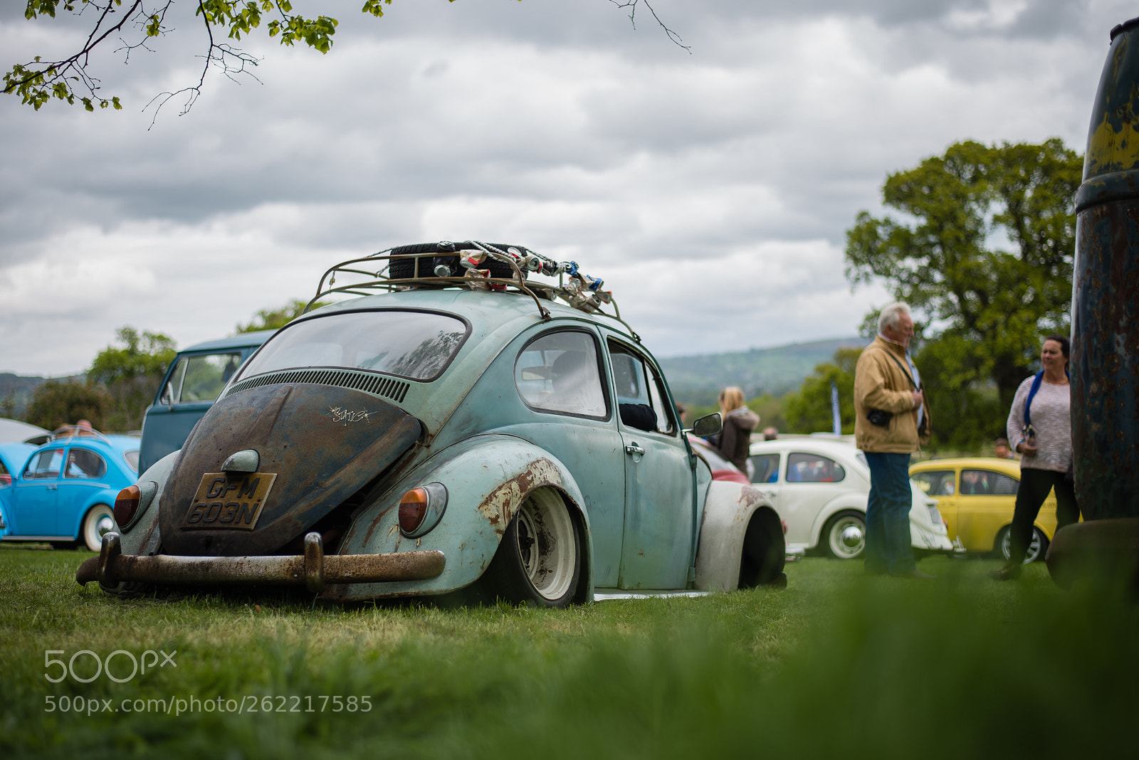 Nikon D600 sample photo. Beetle - all types 2015 photography