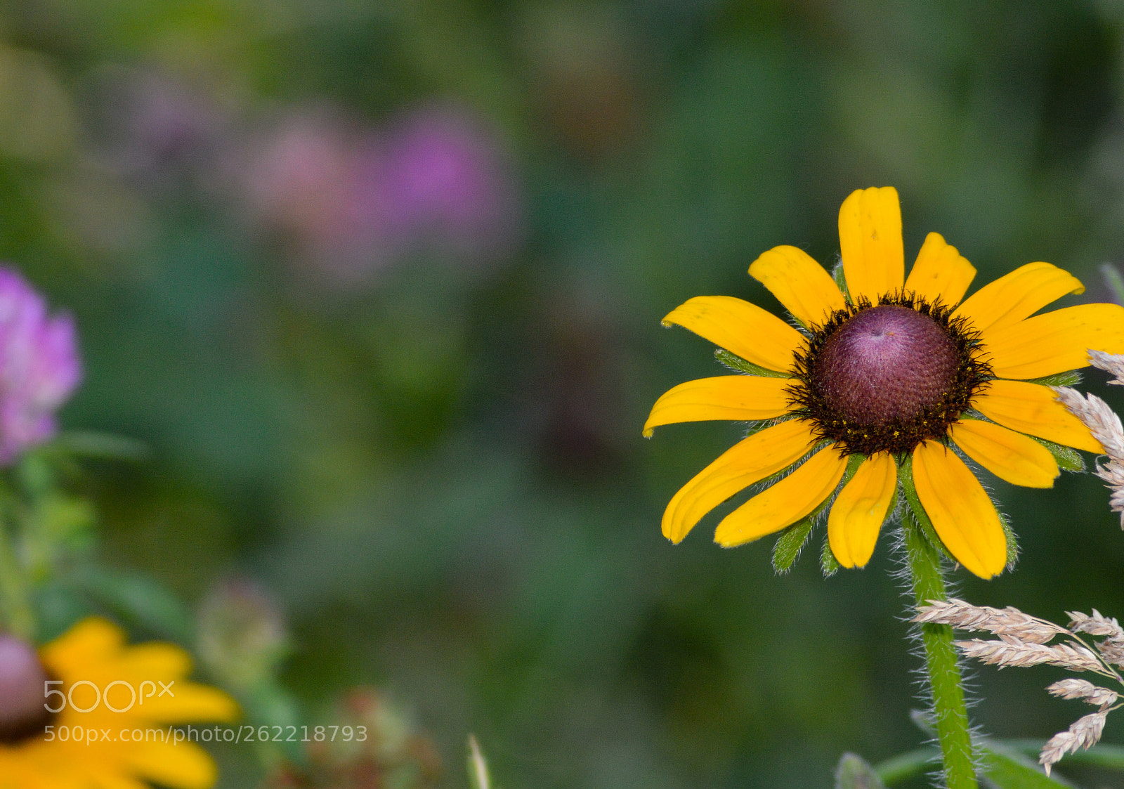 Nikon D3200 sample photo. Untitled photography