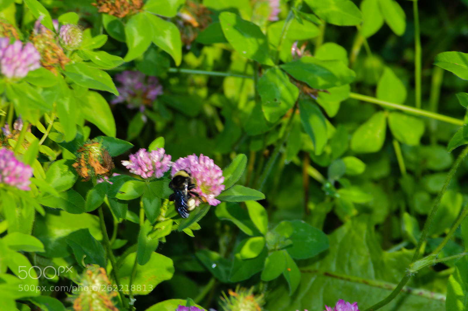 Nikon D3200 sample photo. Untitled photography