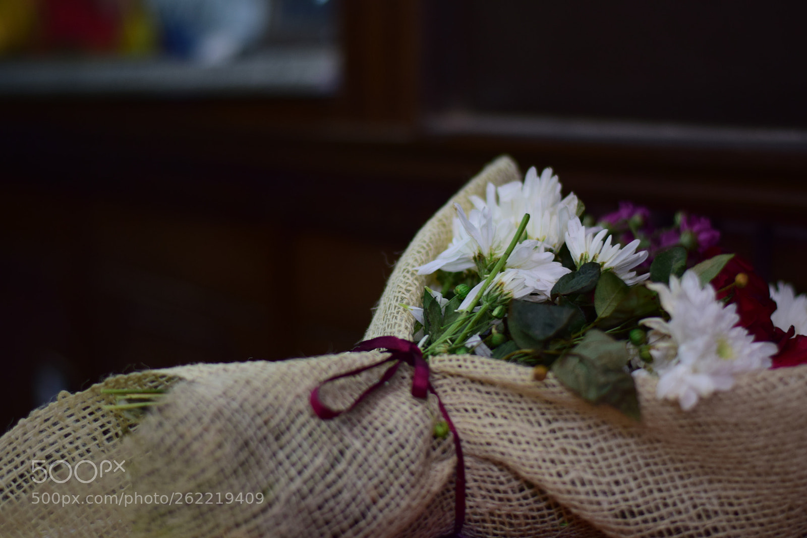 Nikon AF-S Nikkor 50mm F1.8G sample photo. Untitled photography