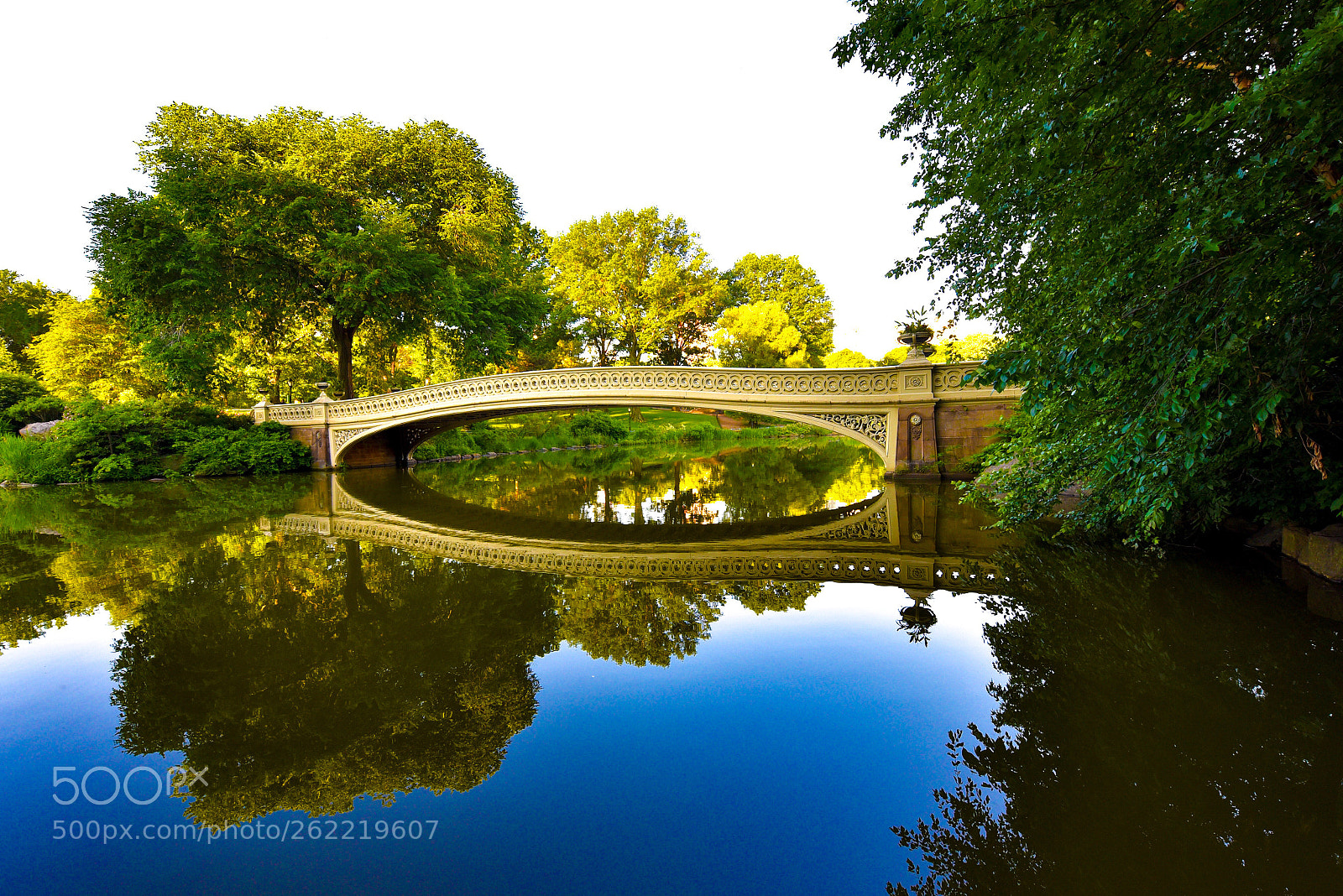 Nikon D750 sample photo. Bow bridge central park  photography