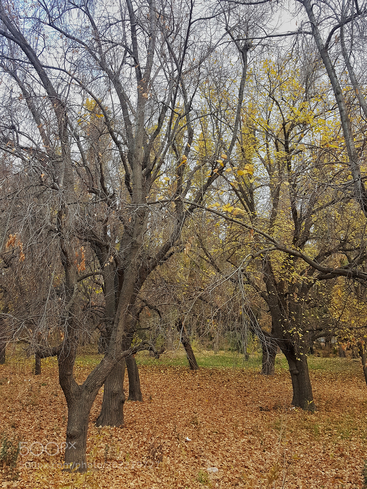 Samsung Galaxy S6 sample photo. Untitled photography