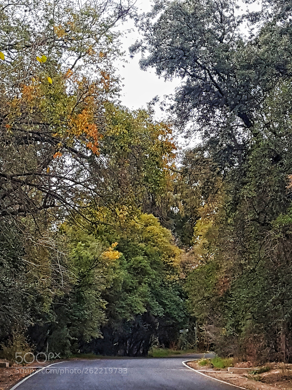 Samsung Galaxy S6 sample photo. Untitled photography