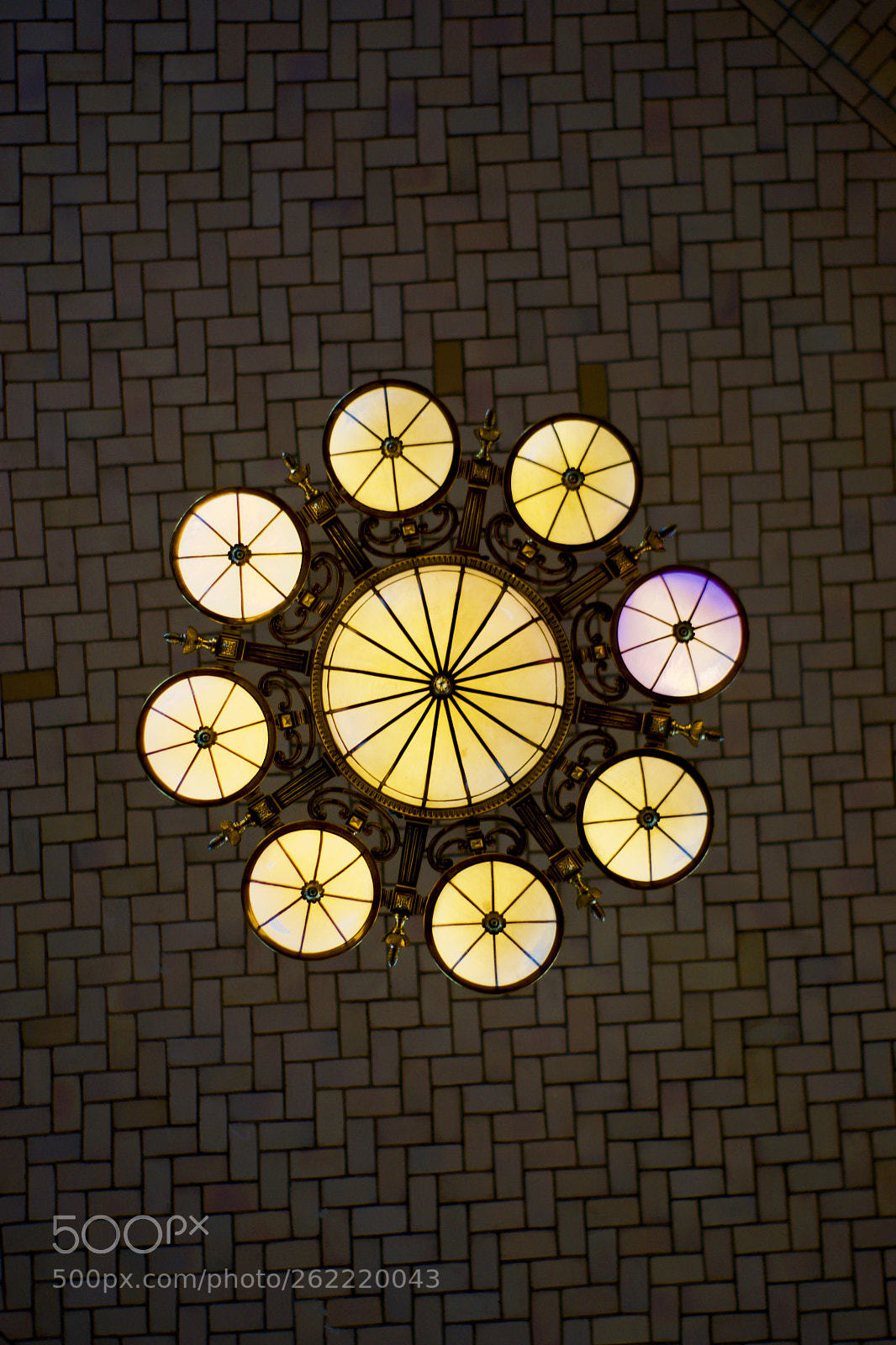Nikon D3300 sample photo. Fullsizeoutput photography