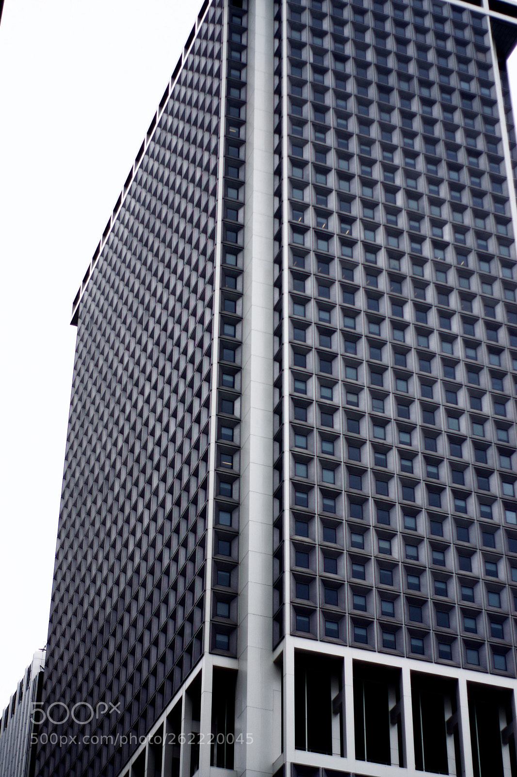 Nikon D3300 sample photo. Fullsizeoutput f photography
