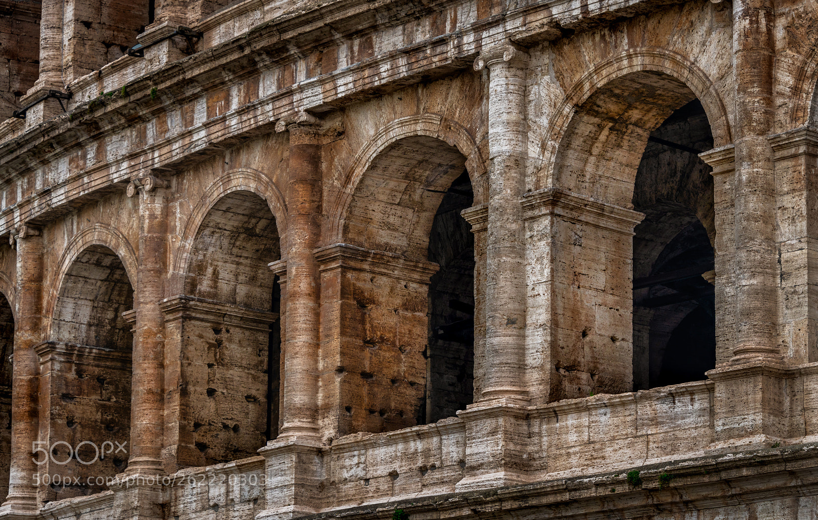 Nikon D850 sample photo. Colosseum detail photography