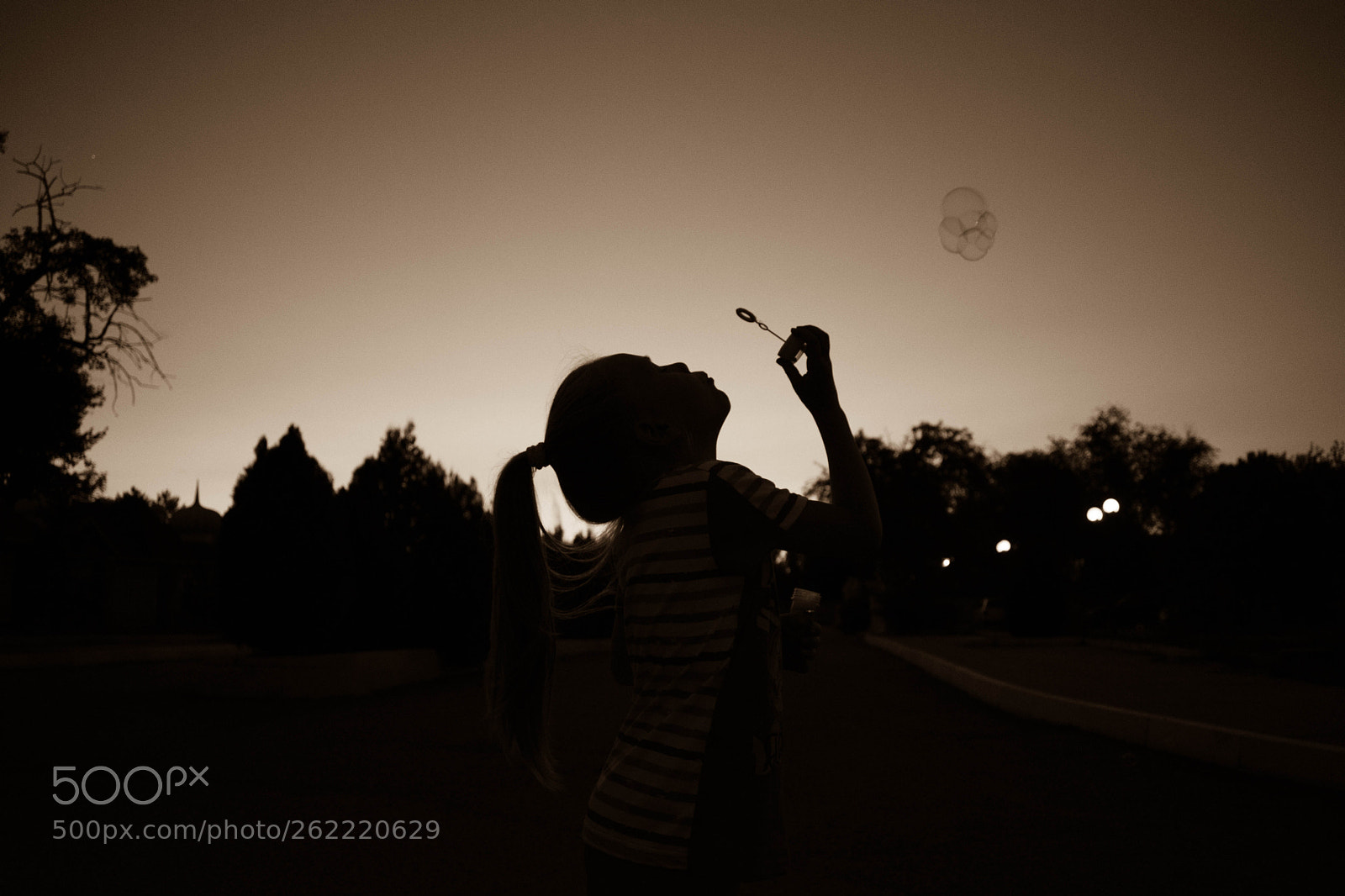Nikon D3400 sample photo. Untitled photography