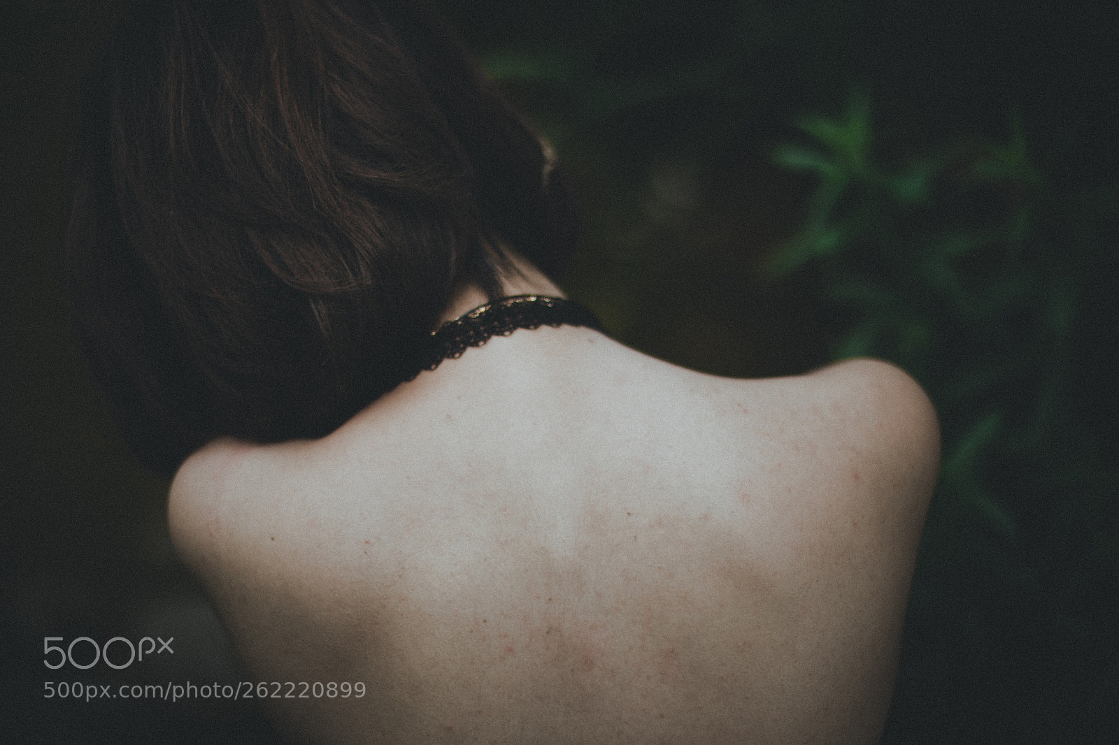 Canon EOS 6D sample photo. Untitled photography