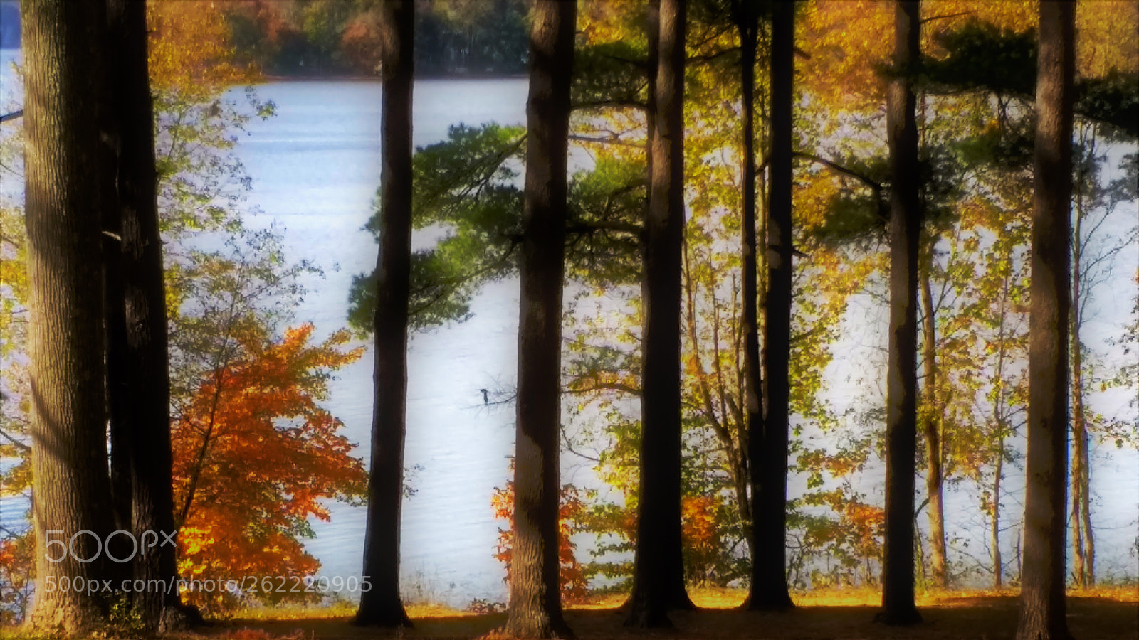 Motorola Moto G (4) sample photo. Impressions photography