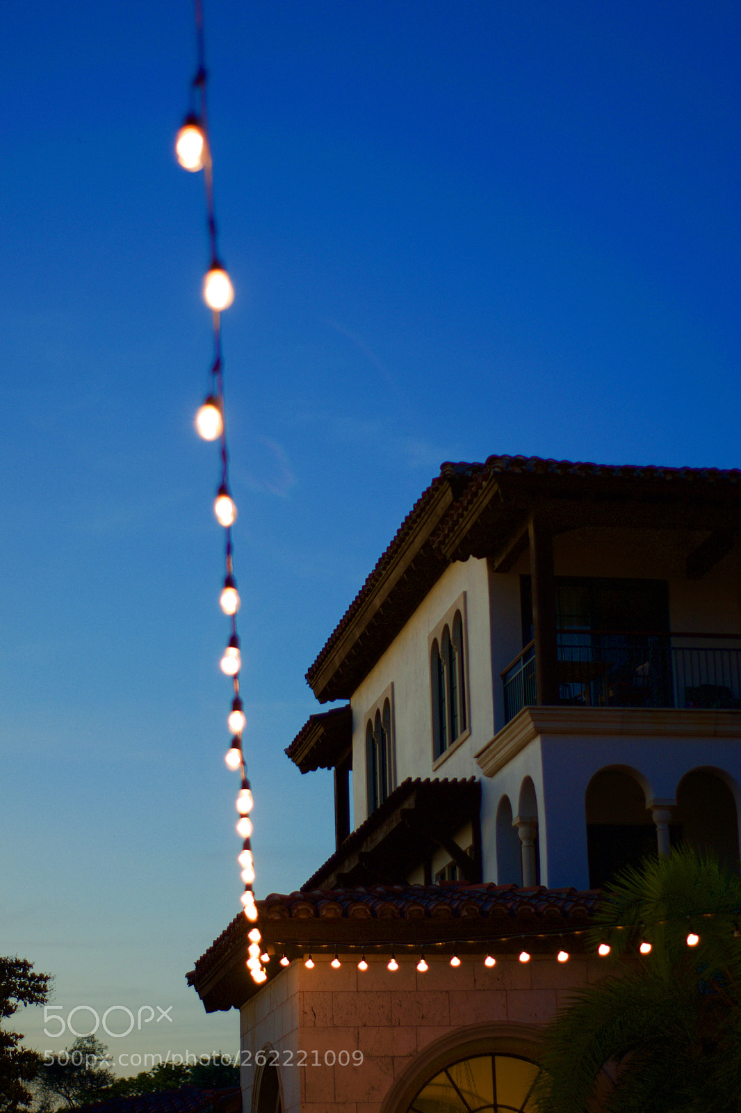 Nikon D3300 sample photo. Fullsizeoutput photography
