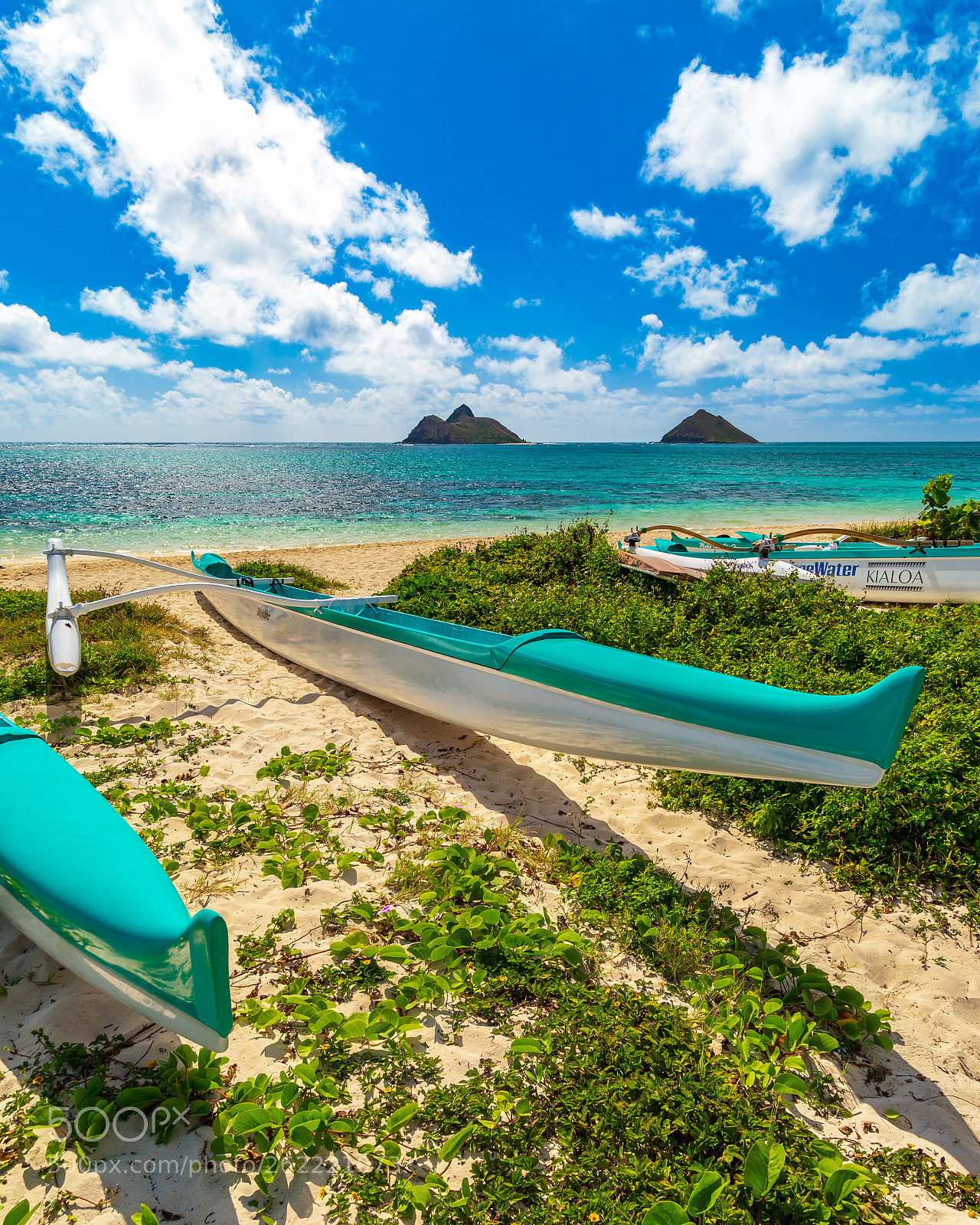 Canon EOS 6D sample photo. Hawaiian outrigger canoe photography