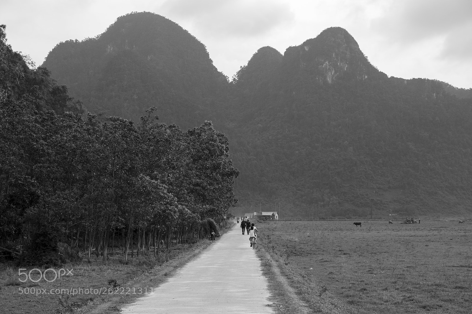 Canon EOS 6D sample photo. Tan hoa commune photography
