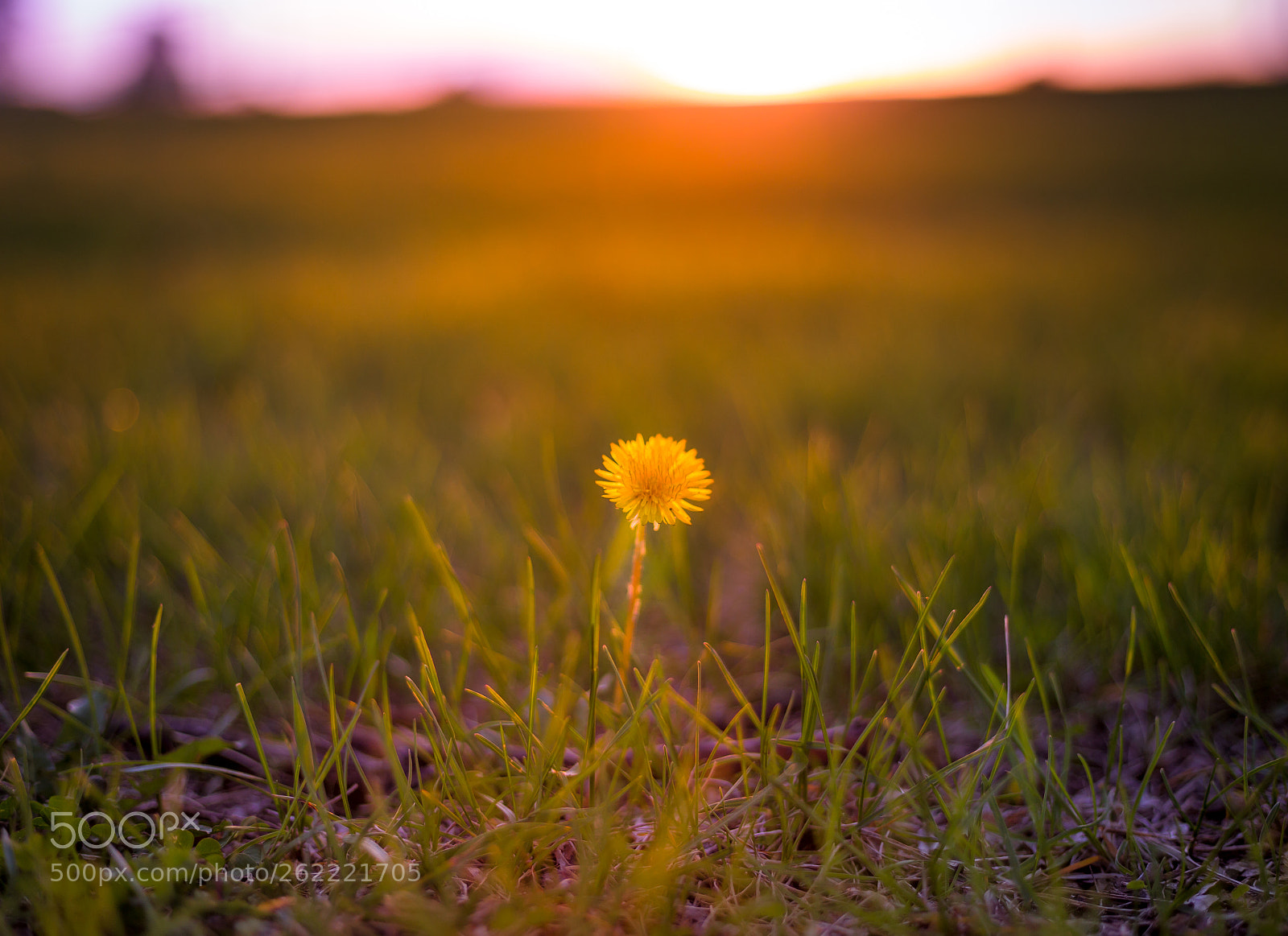 Canon EOS 6D sample photo. Sunset photography