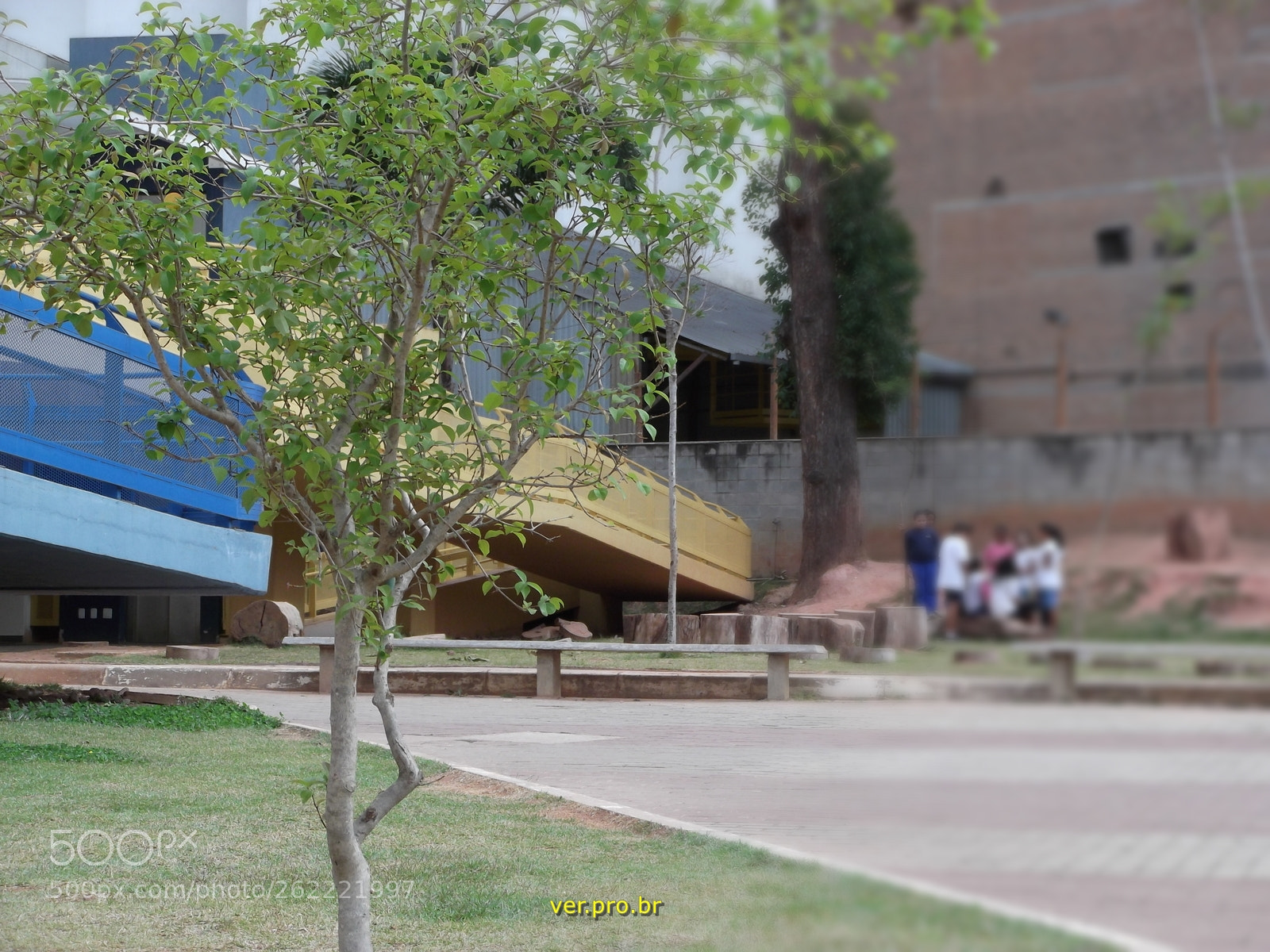 FujiFilm FinePix T200 (FinePix T205) sample photo. Verde era mais verde photography