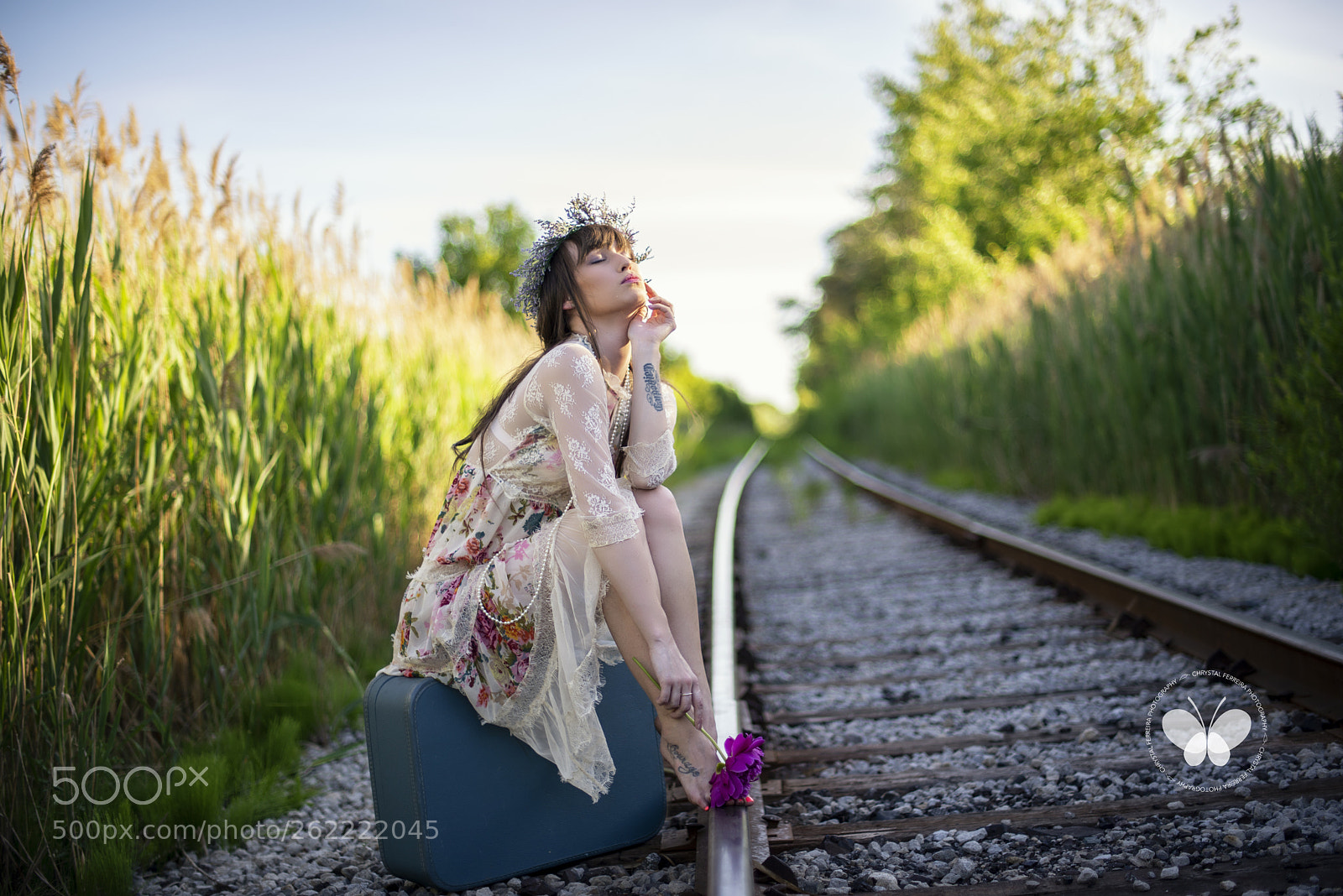 Nikon D610 sample photo. Summer photography