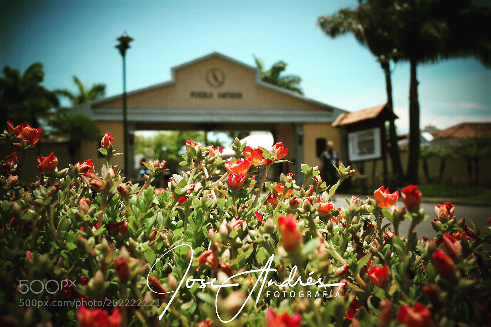 Nikon D5500 sample photo. Untitled photography