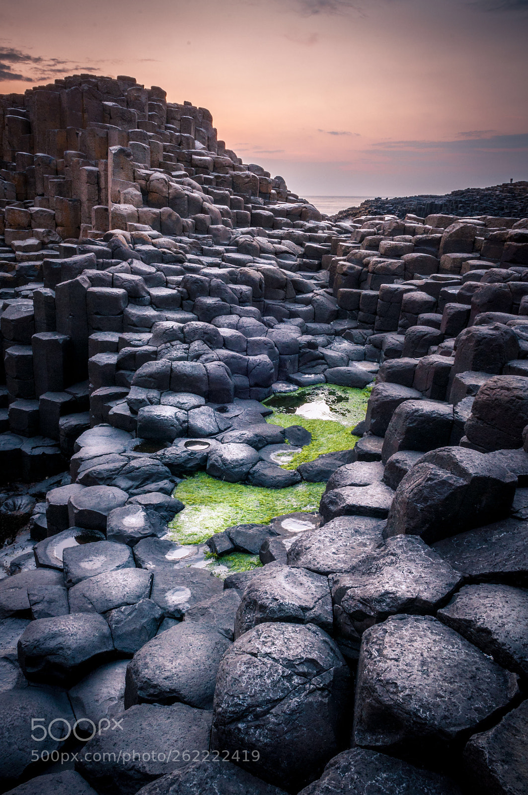 Nikon D90 sample photo. Giant’s causeway  photography