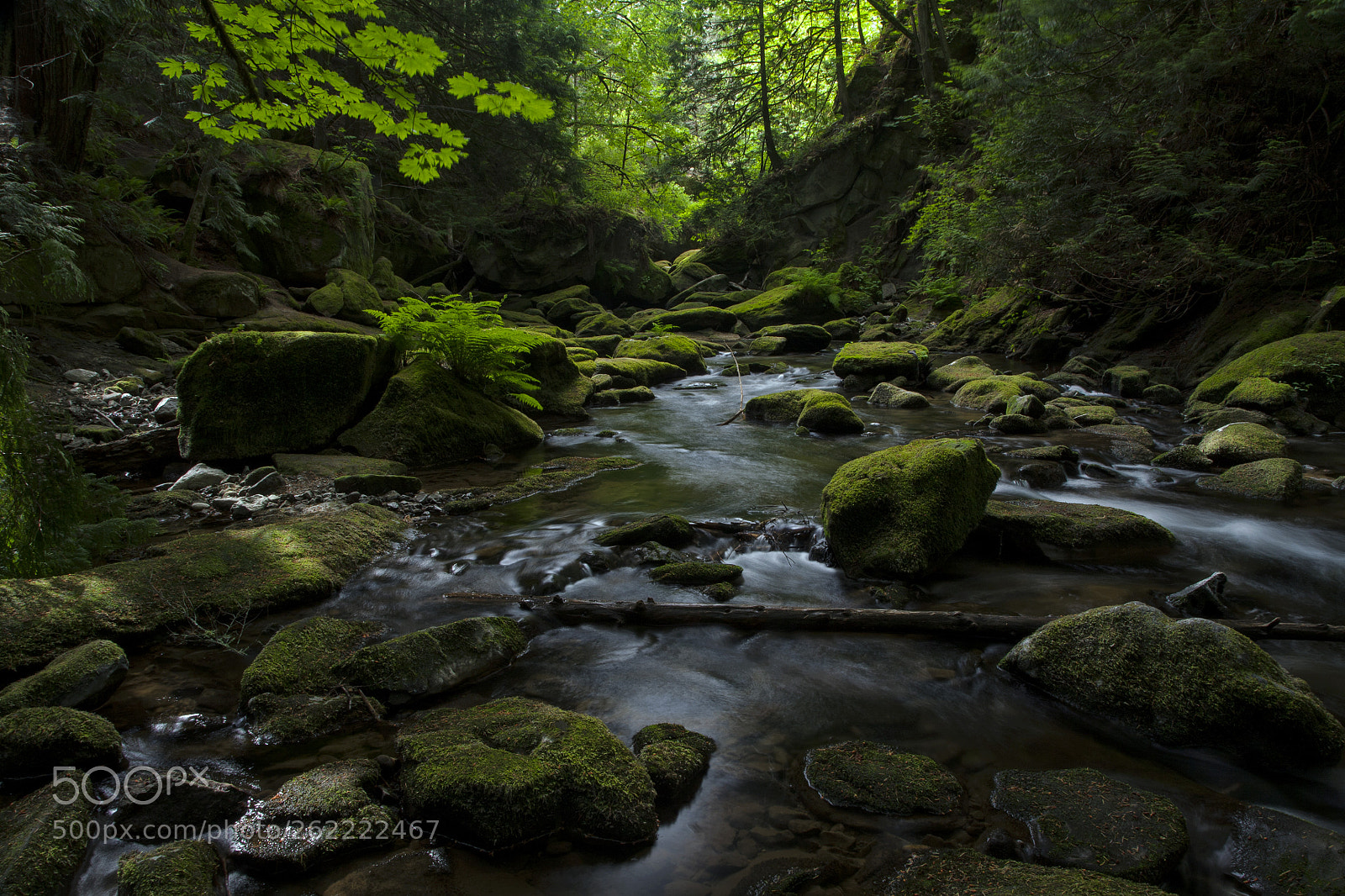 Canon EOS 5D sample photo. Lower gorge, whatcom creek photography