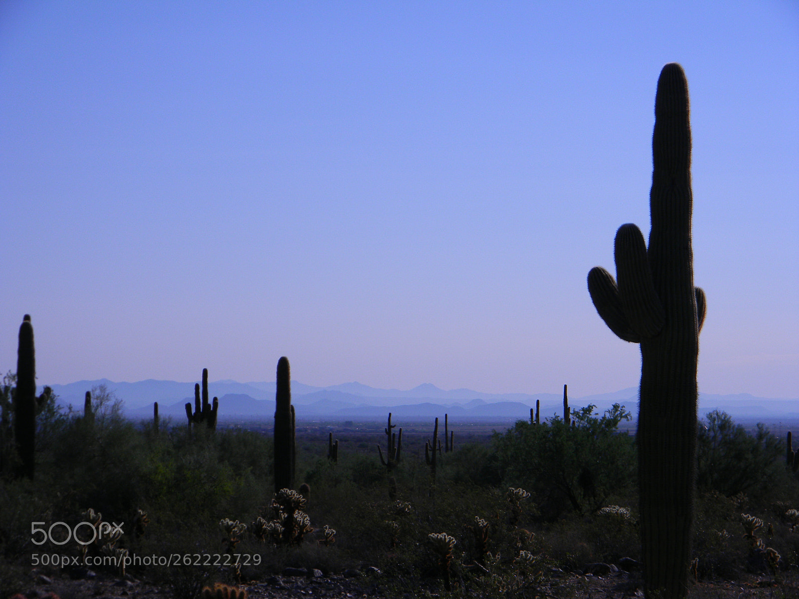 Nikon Coolpix L110 sample photo. Desert sunset photography