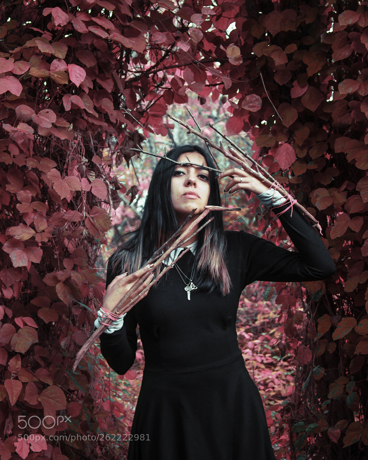 Canon EOS 600D (Rebel EOS T3i / EOS Kiss X5) sample photo. "princess of branches" photography