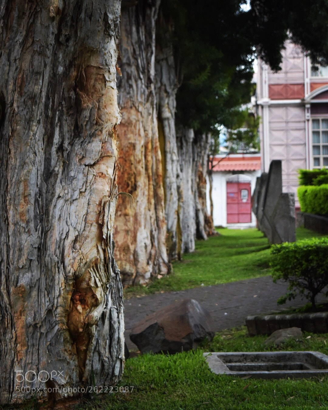 Nikon D5500 sample photo. Untitled photography