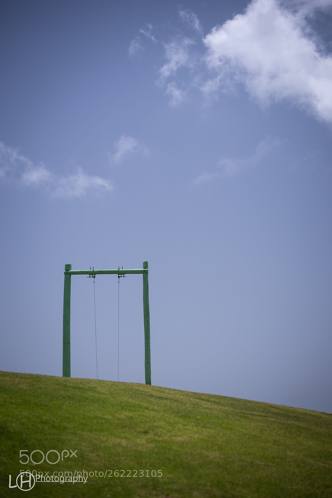 Nikon D810 sample photo. Swing photography