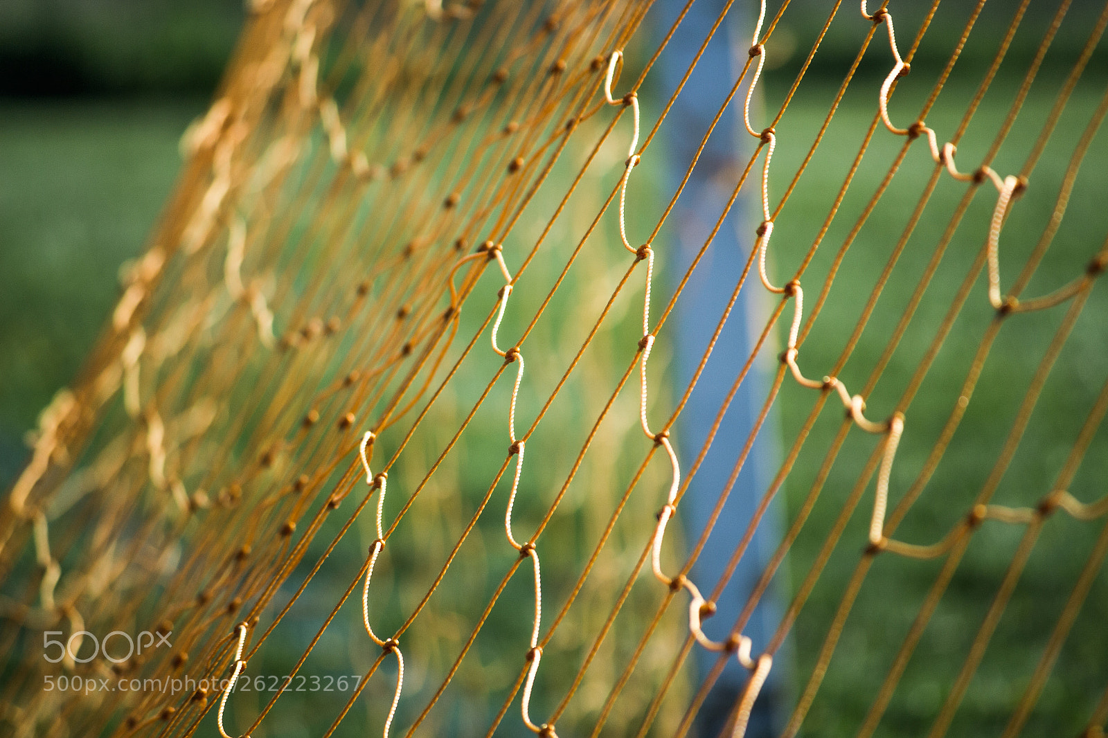 Canon EOS 700D (EOS Rebel T5i / EOS Kiss X7i) sample photo. The beautiful game photography