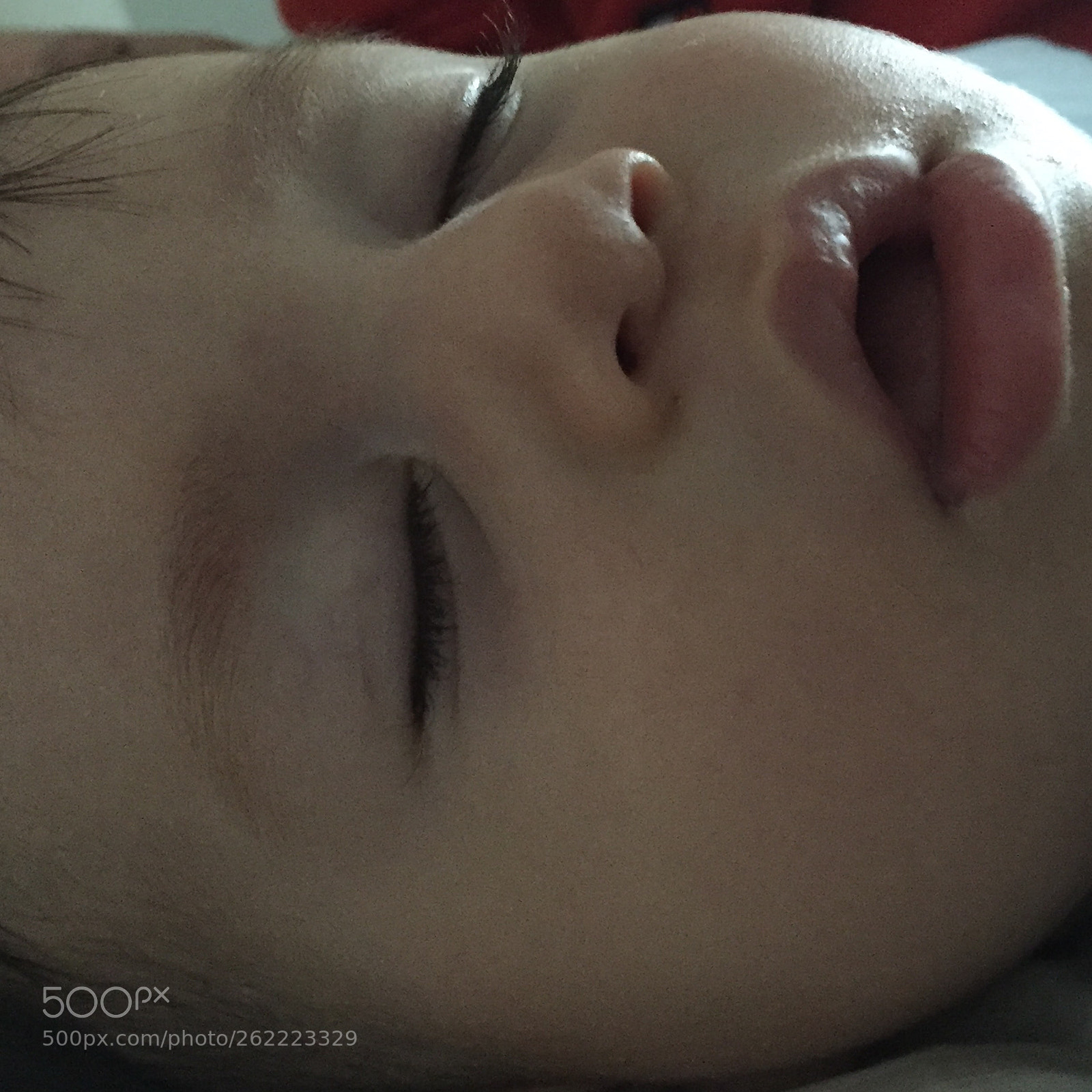 Apple iPhone 6 sample photo. Untitled photography