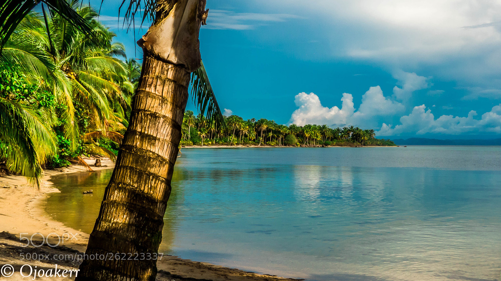 Panasonic Lumix DMC-FZ200 sample photo. Bahia de bocas del photography
