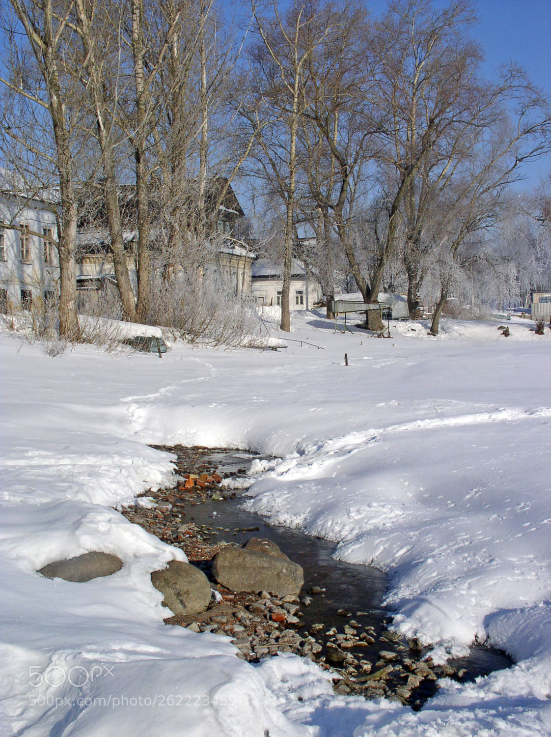 Olympus C4100Z,C4000Z sample photo. March, the first thawed photography
