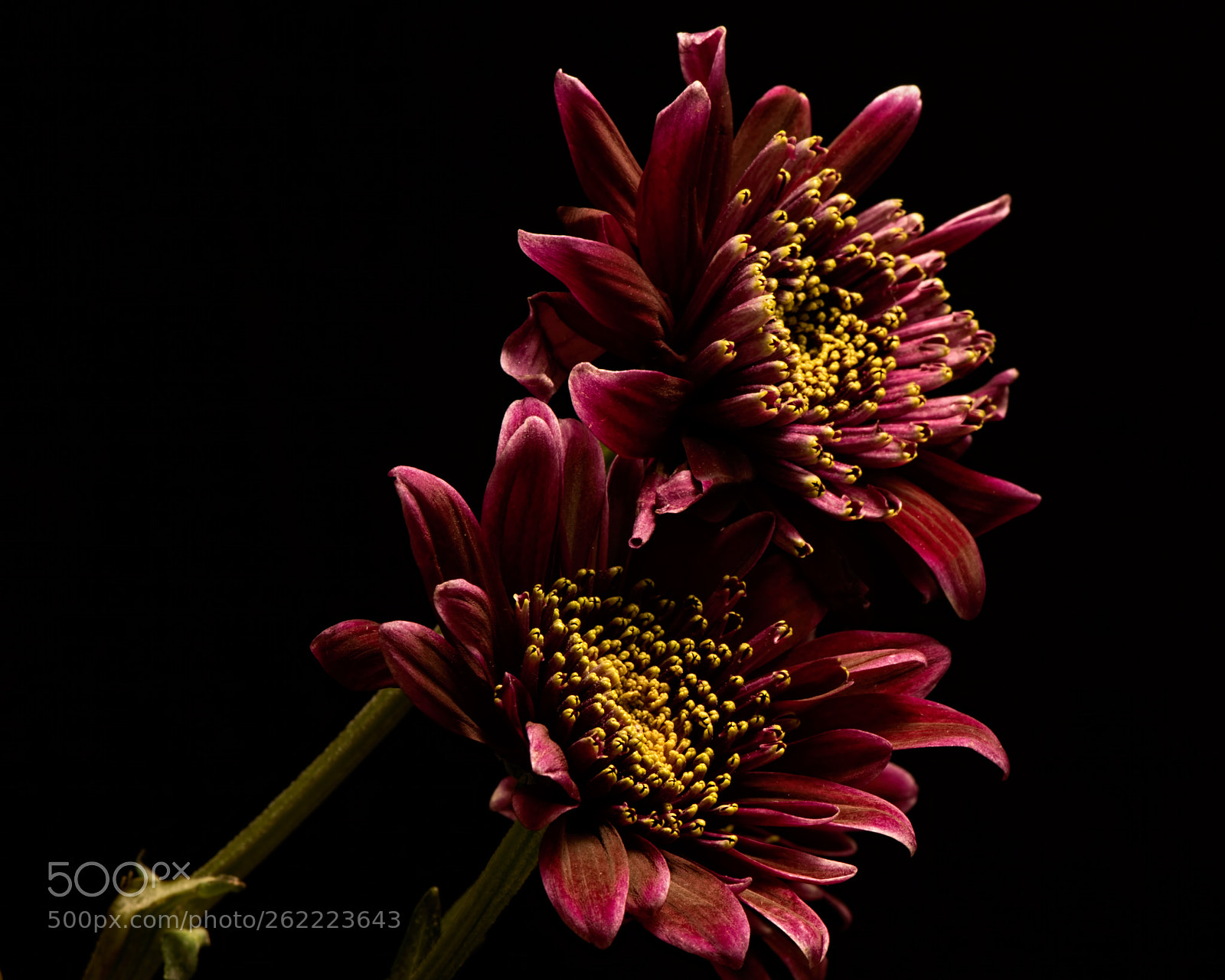 Nikon D810 sample photo. The stretch 1117 photography