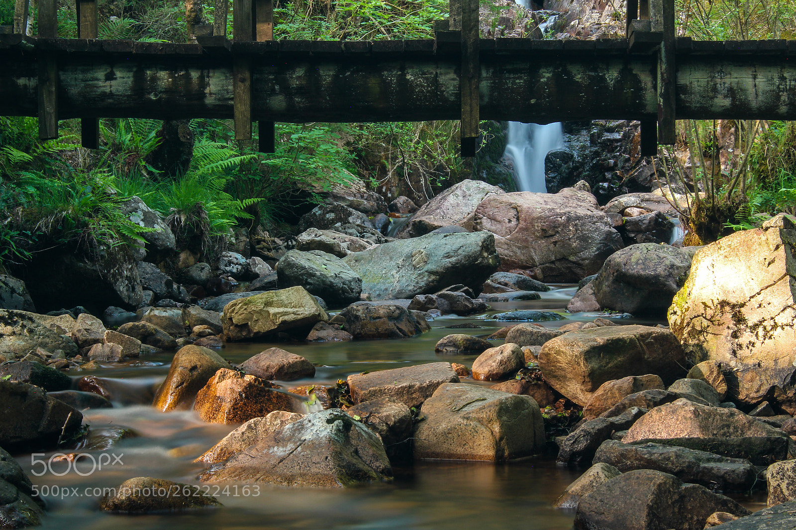 Canon EOS 550D (EOS Rebel T2i / EOS Kiss X4) sample photo. Smithy beck photography