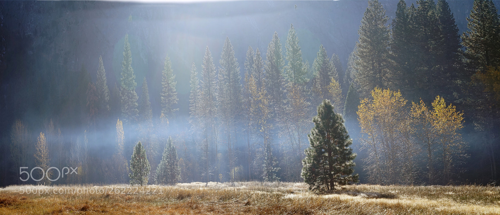 Sony a7 sample photo. Smokey land photography