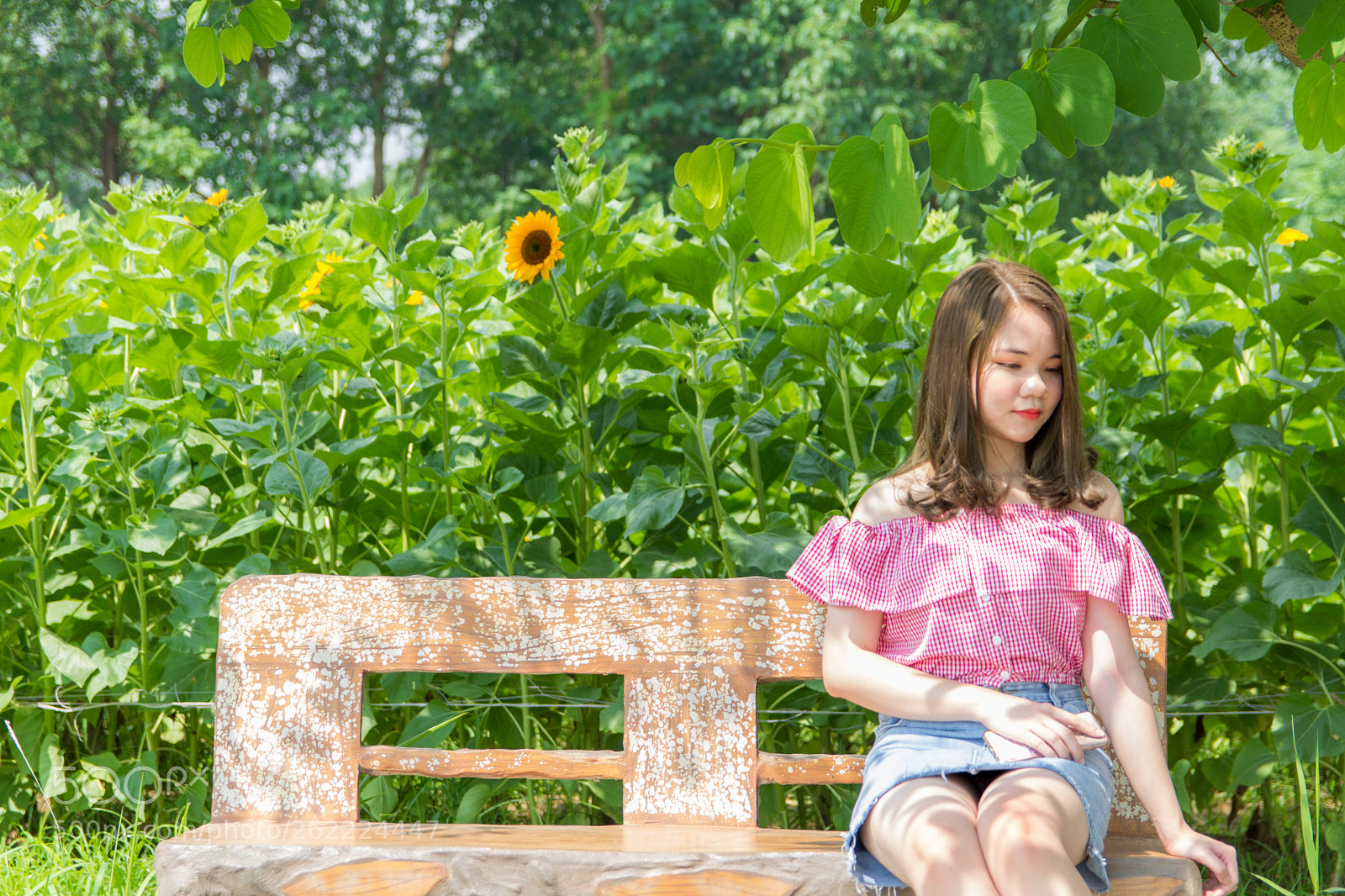Canon EOS 60D sample photo. Sunny day photography
