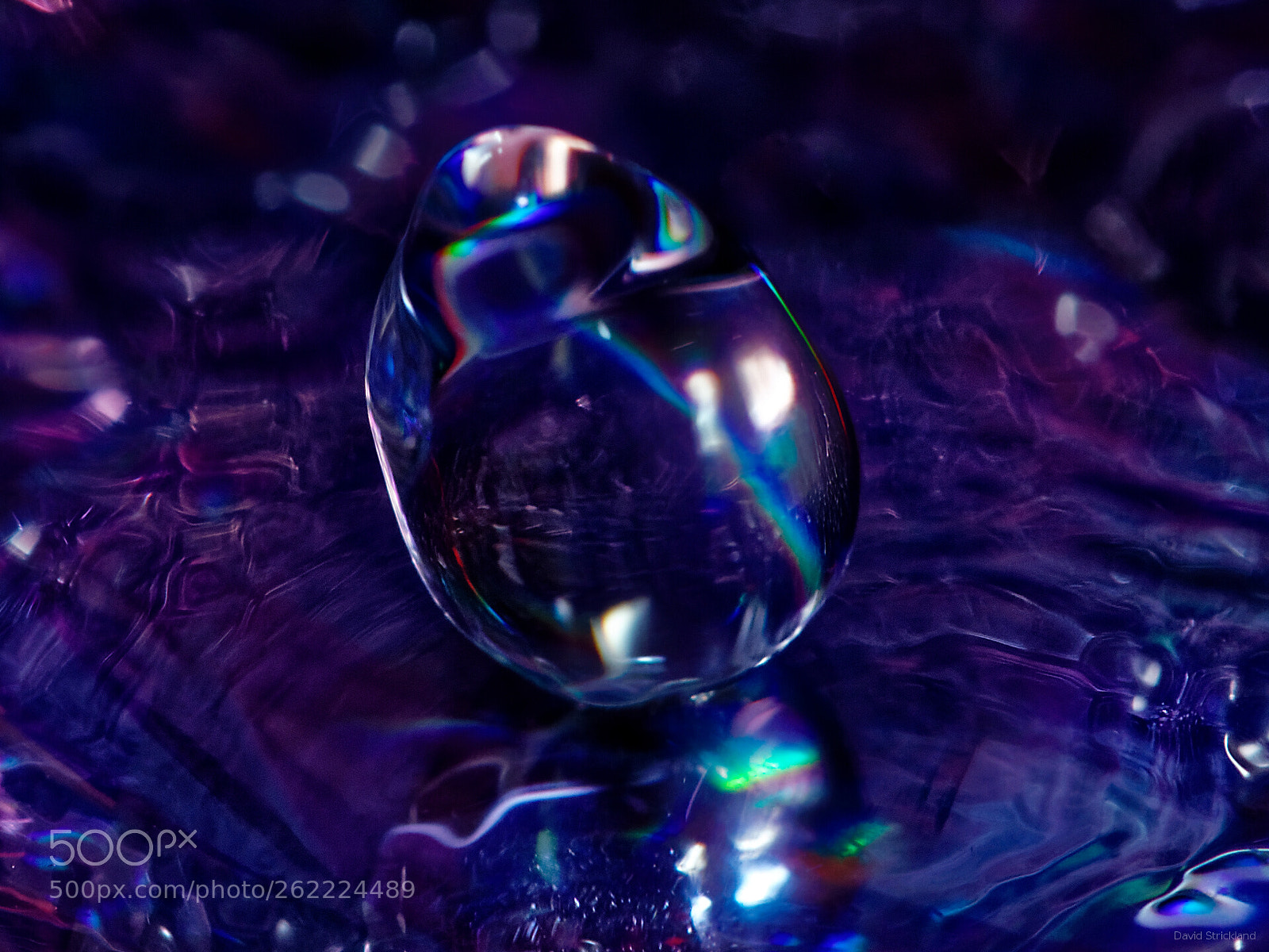 Canon EF 100mm F2.8L Macro IS USM sample photo. Purple transparency photography