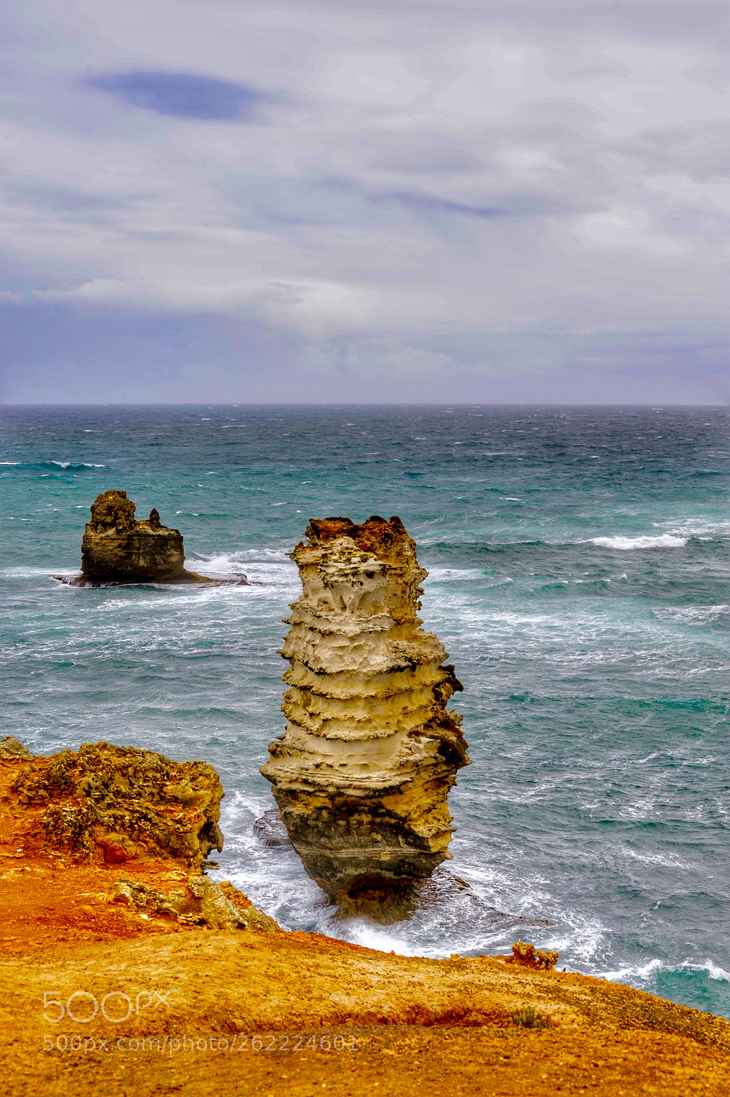 Nikon D700 sample photo. 《大洋盆景》1。 photography