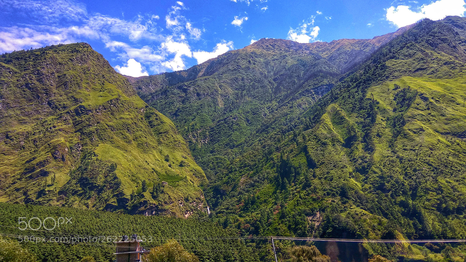 Xiaomi Redmi Note3 sample photo. Untitled photography