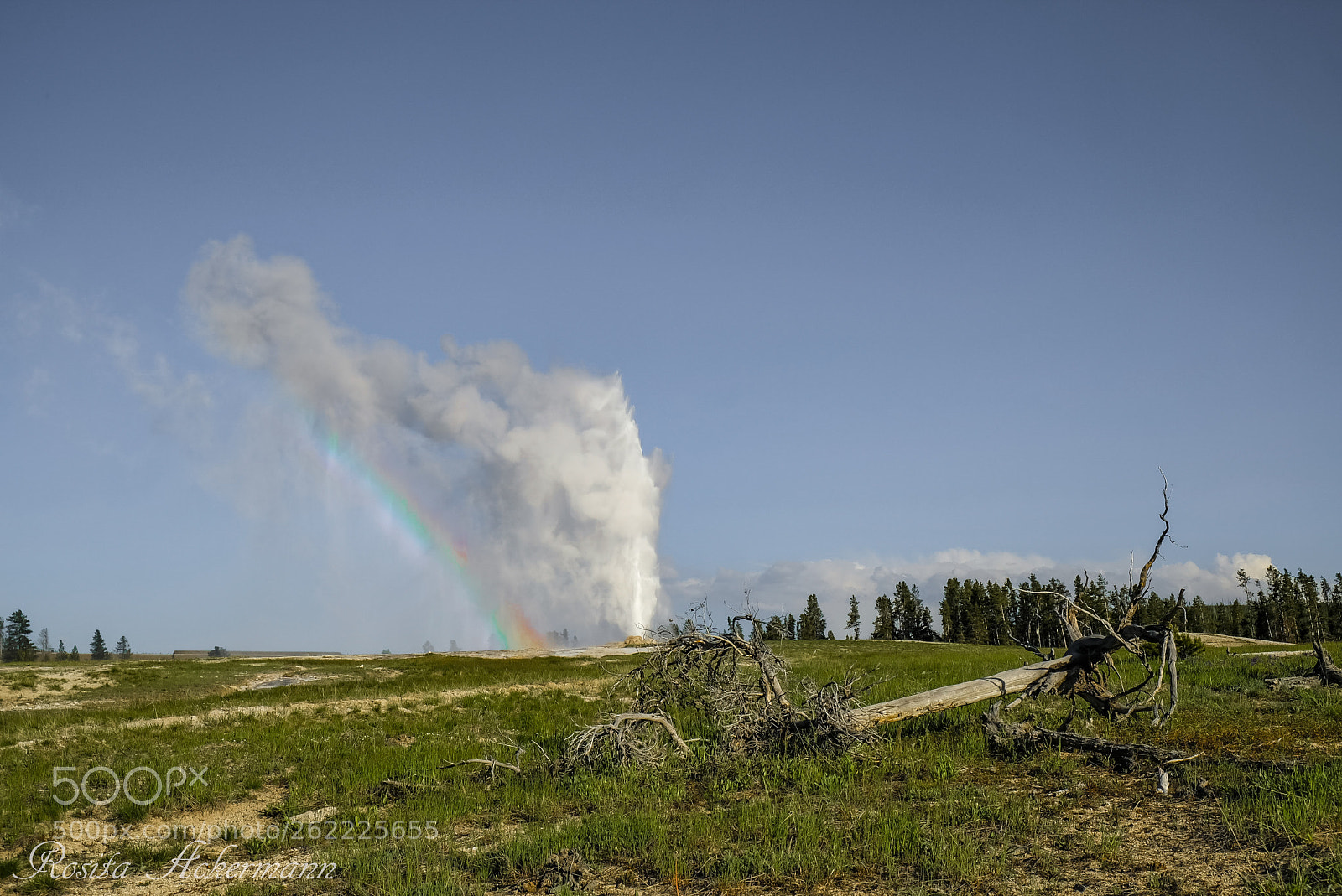 Fujifilm X-T20 sample photo. Old faithful geyser photography