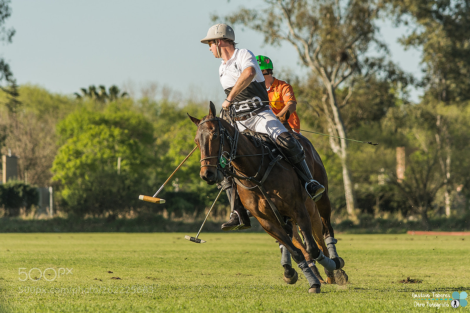 Nikon D5200 sample photo. Polo photography