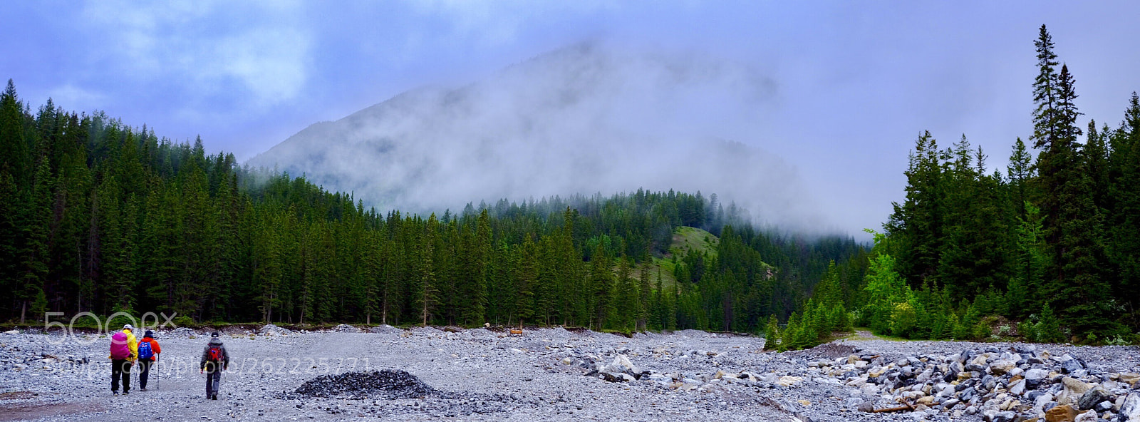 Fujifilm GFX 50S sample photo. Hiking at mount lady photography