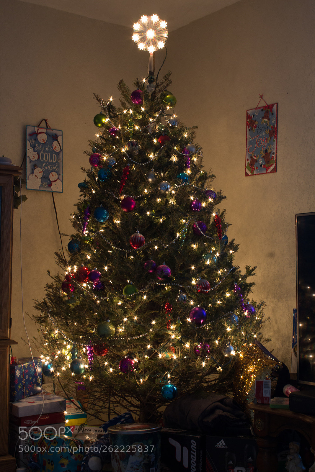 Canon EOS 1200D (EOS Rebel T5 / EOS Kiss X70 / EOS Hi) sample photo. Christmas tree photography