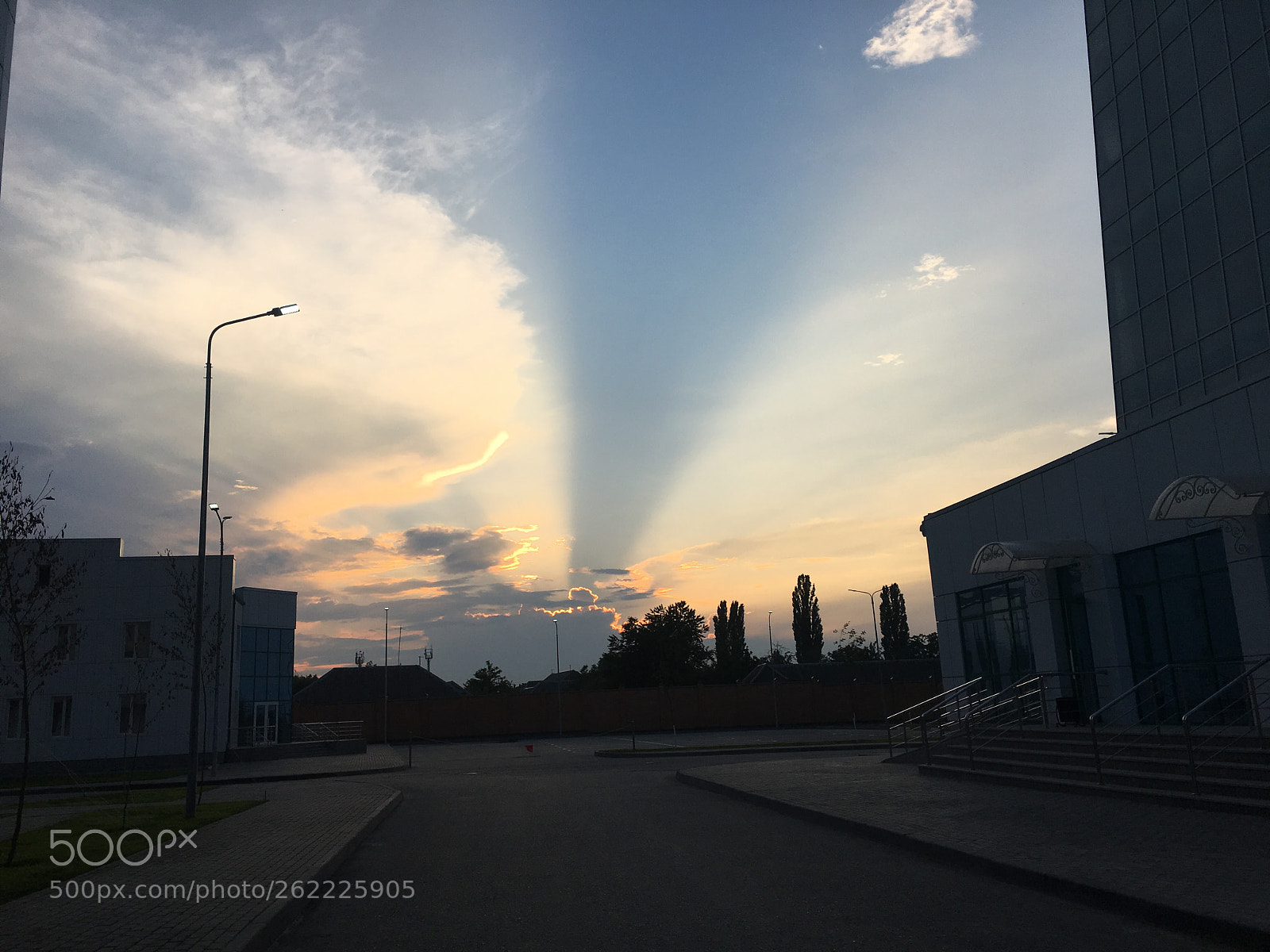 Apple iPhone 6s Plus sample photo. Untitled photography