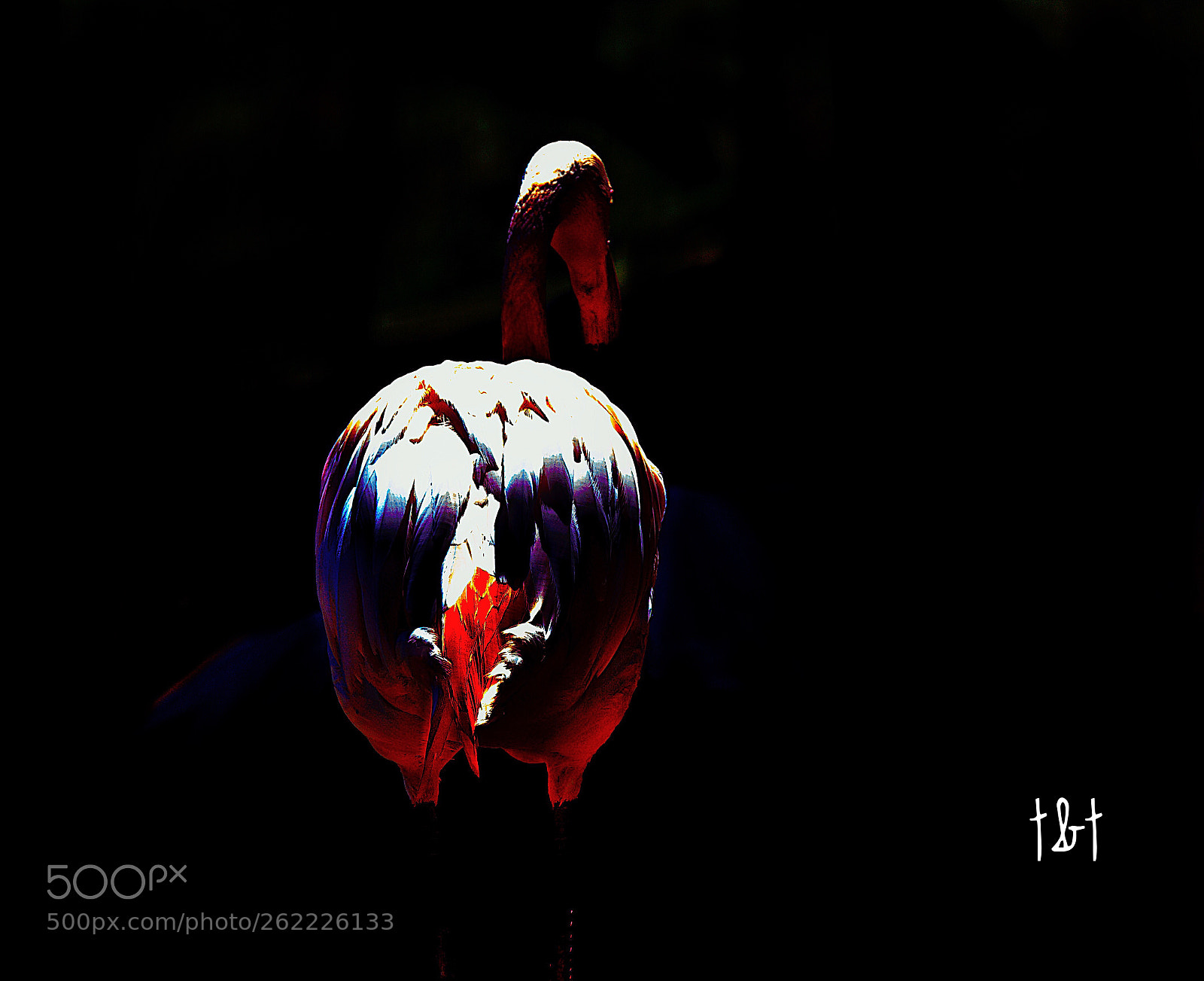 Canon EOS 7D sample photo. Untitled photography