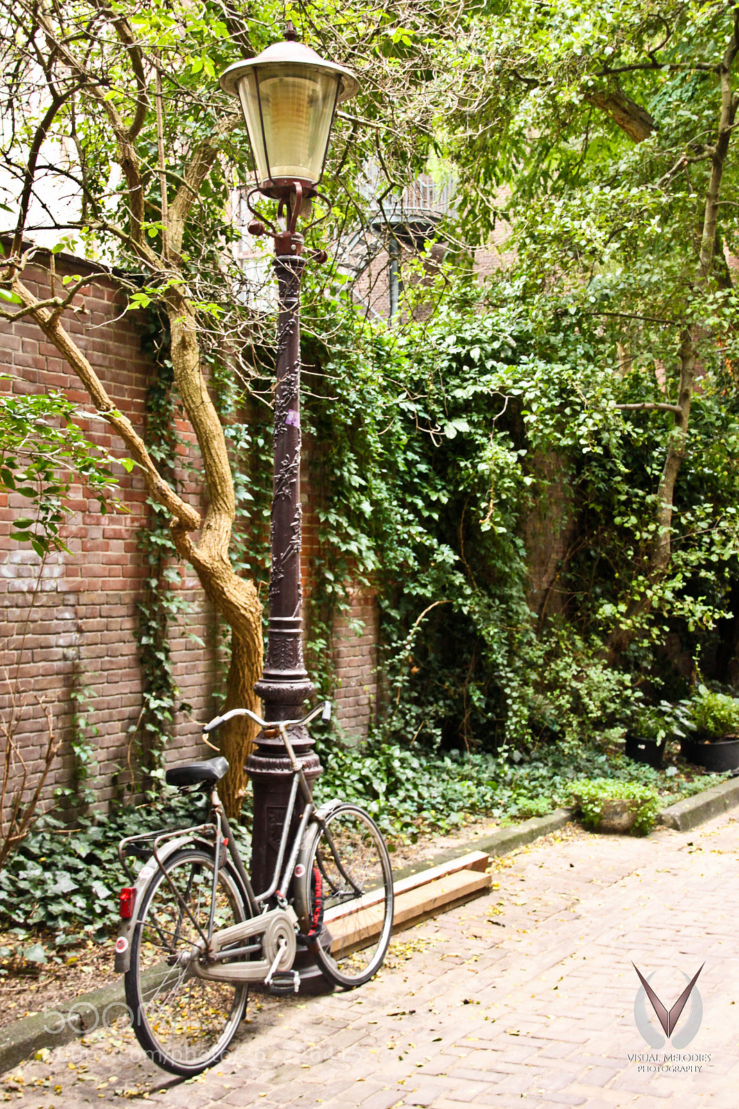 Canon EOS 500D (EOS Rebel T1i / EOS Kiss X3) sample photo. Amsterdam alley photography