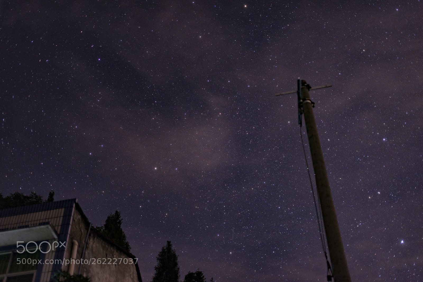 Nikon D610 sample photo. Untitled photography