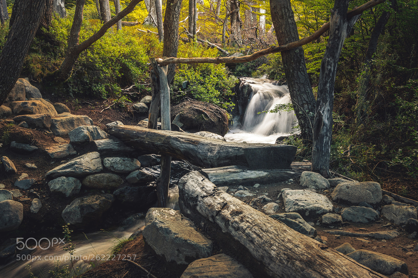 Nikon D3200 sample photo. Stream photography